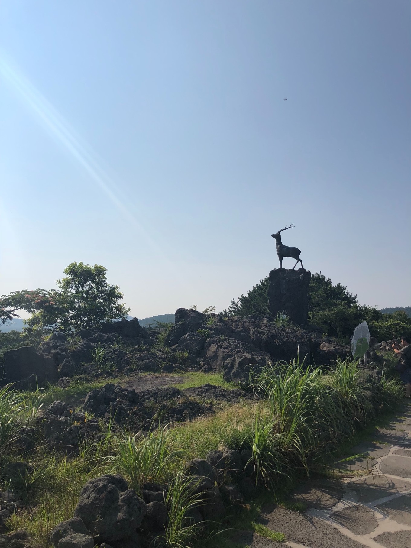 不会韩语去济州岛怎么自由行,济州岛两天旅行攻略