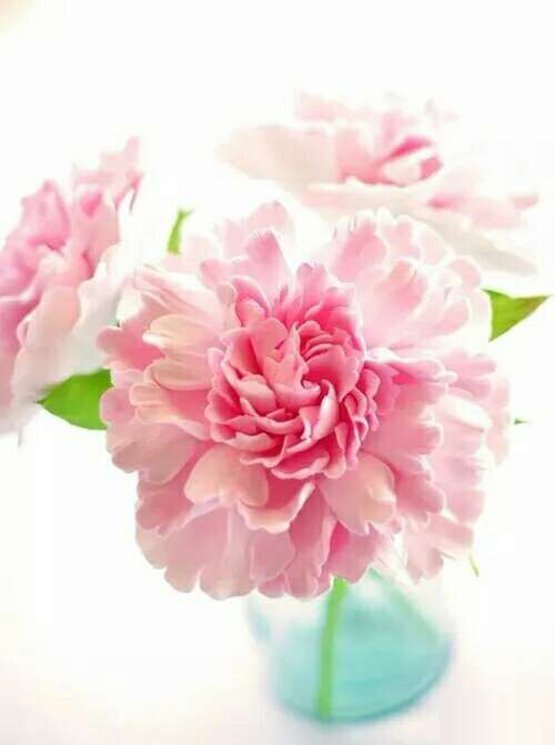 疼痛会导致冠心病发作吗,冠心病每天傍晚频繁发作