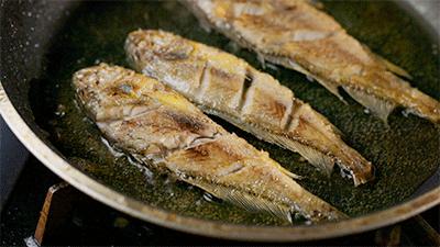 南澳岛渔民捕捞视频,南澳岛渔船捕捞