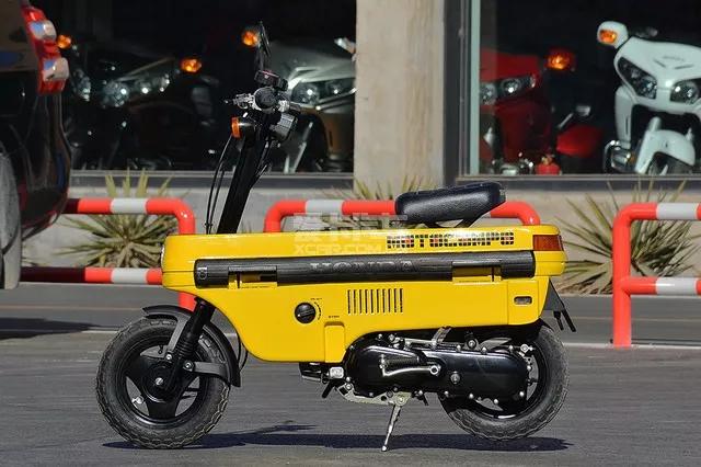 雅阁对不起,我不能爱你