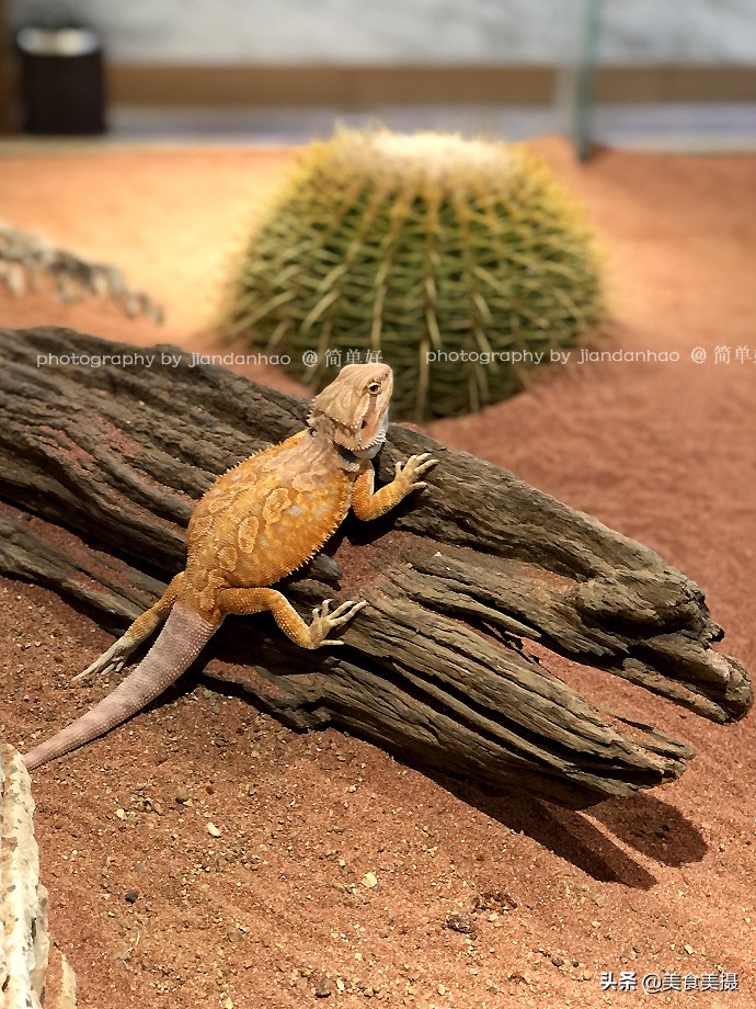 鞍山清水湾温泉洗浴价格表,沈阳清水湾有温泉么