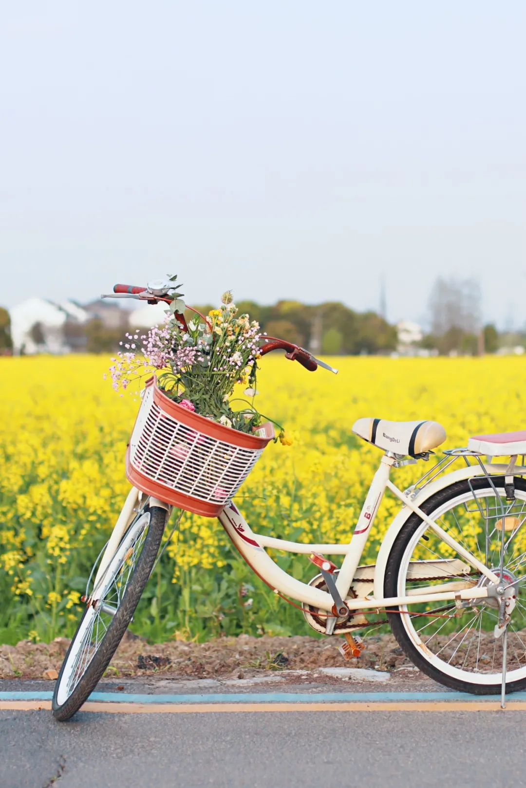 苏州的农村风光,苏州水乡农村风景