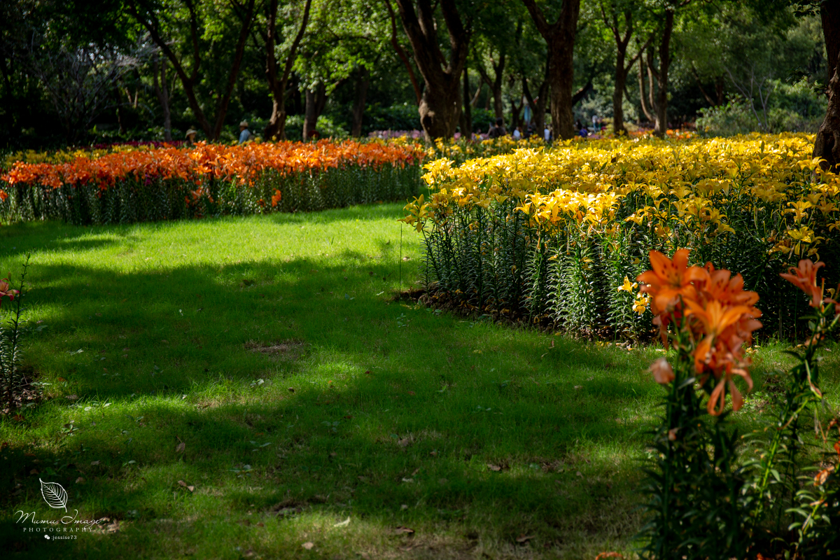 江南百年园林,江南私家园林所蕴含的人文情怀