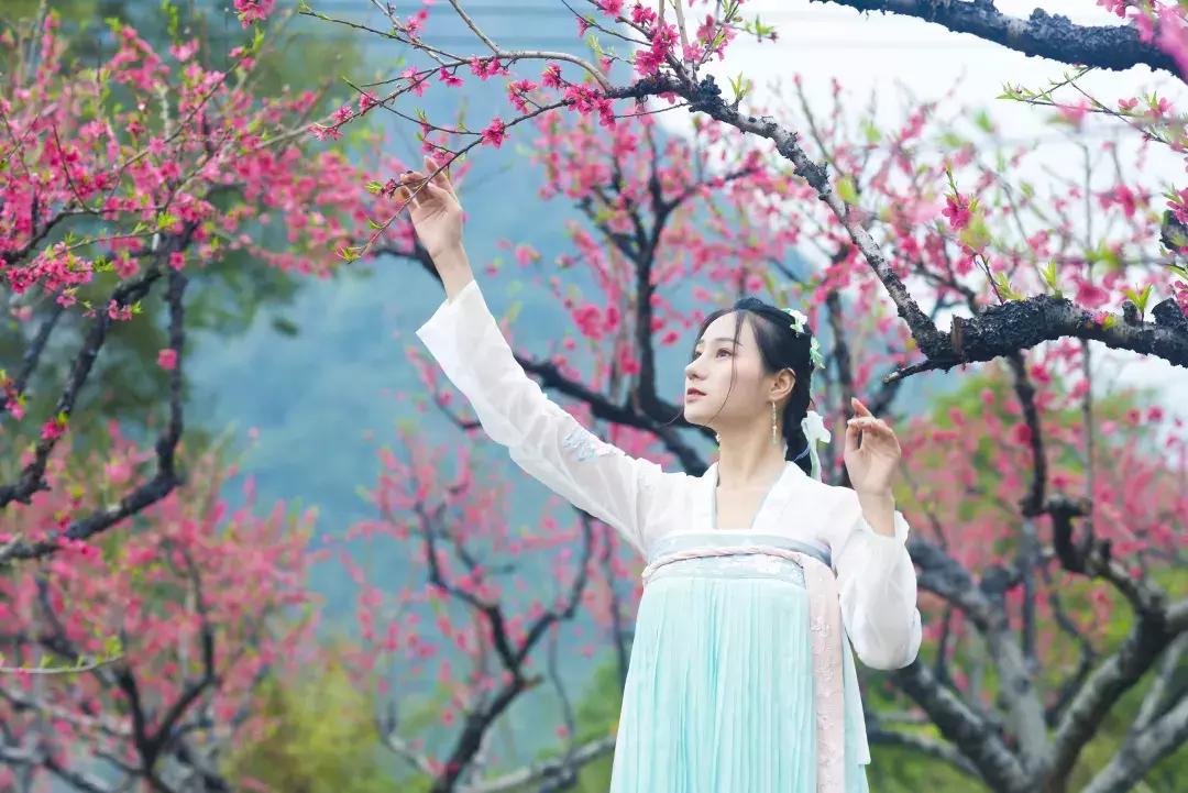 三月赏雨赏花,三月适合去哪儿看花