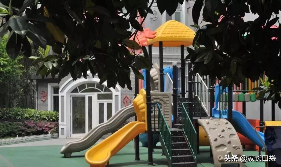 上海市非沪籍幼儿园入园信息,非沪籍入学各区政策