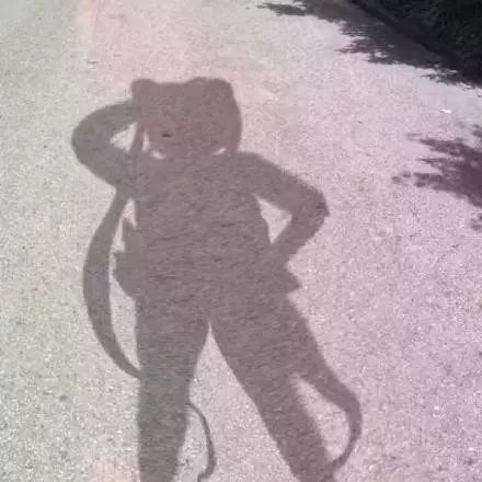 把狗毛全部剃掉对身体好吗,把狗毛都剃了狗会生气吗