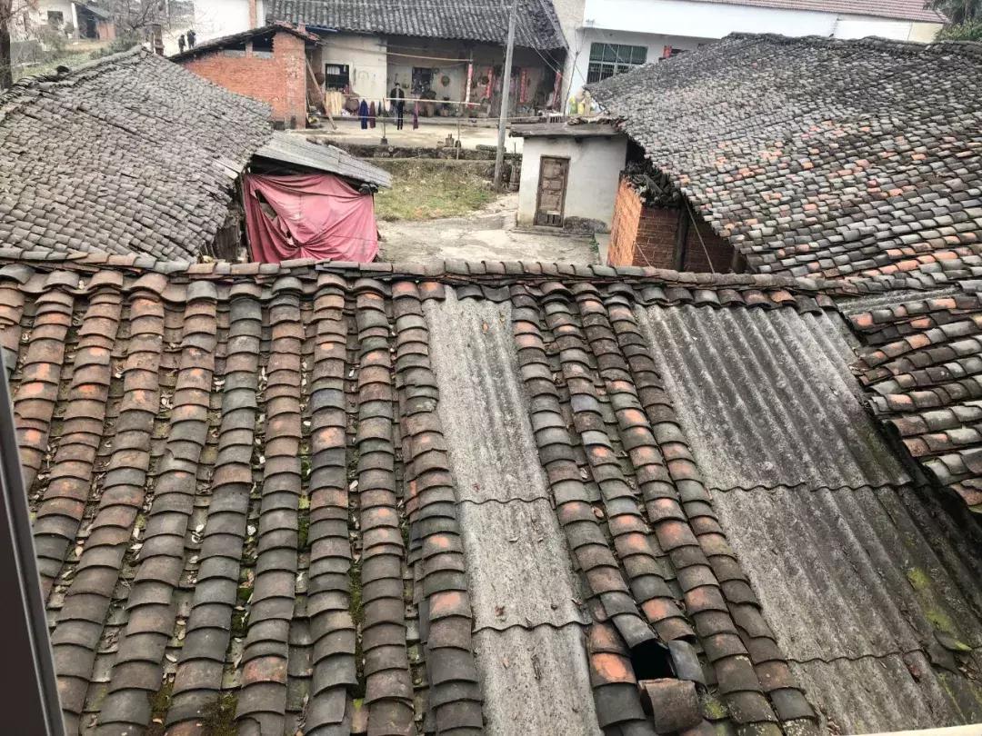 张扣扣案死刑复核裁定全文披露,张扣扣执行死刑前对家人说了什么