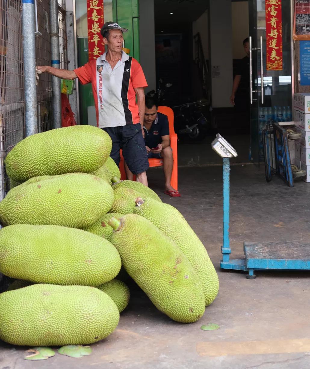 焦虑能去海口旅游吗,觉得焦虑就出来散散心