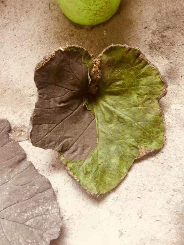 浙江土豪自建豪华别墅乔迁,90后小伙花30万自建别墅