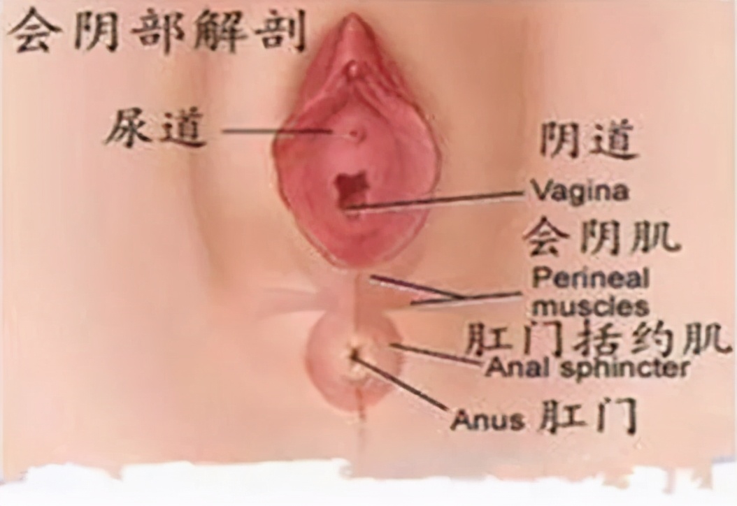 生小孩侧切会留下什么后遗症,顺产侧切后遗症多久可以运动