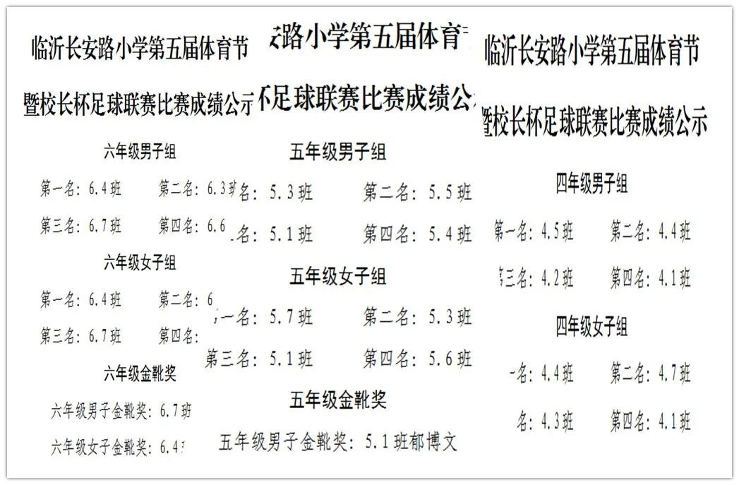 临沂长安路小学篮球比赛,临沂市罗庄区小学足球联赛