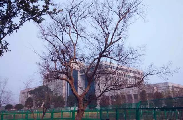 东南大学最美校花,全国公认大学最美校花