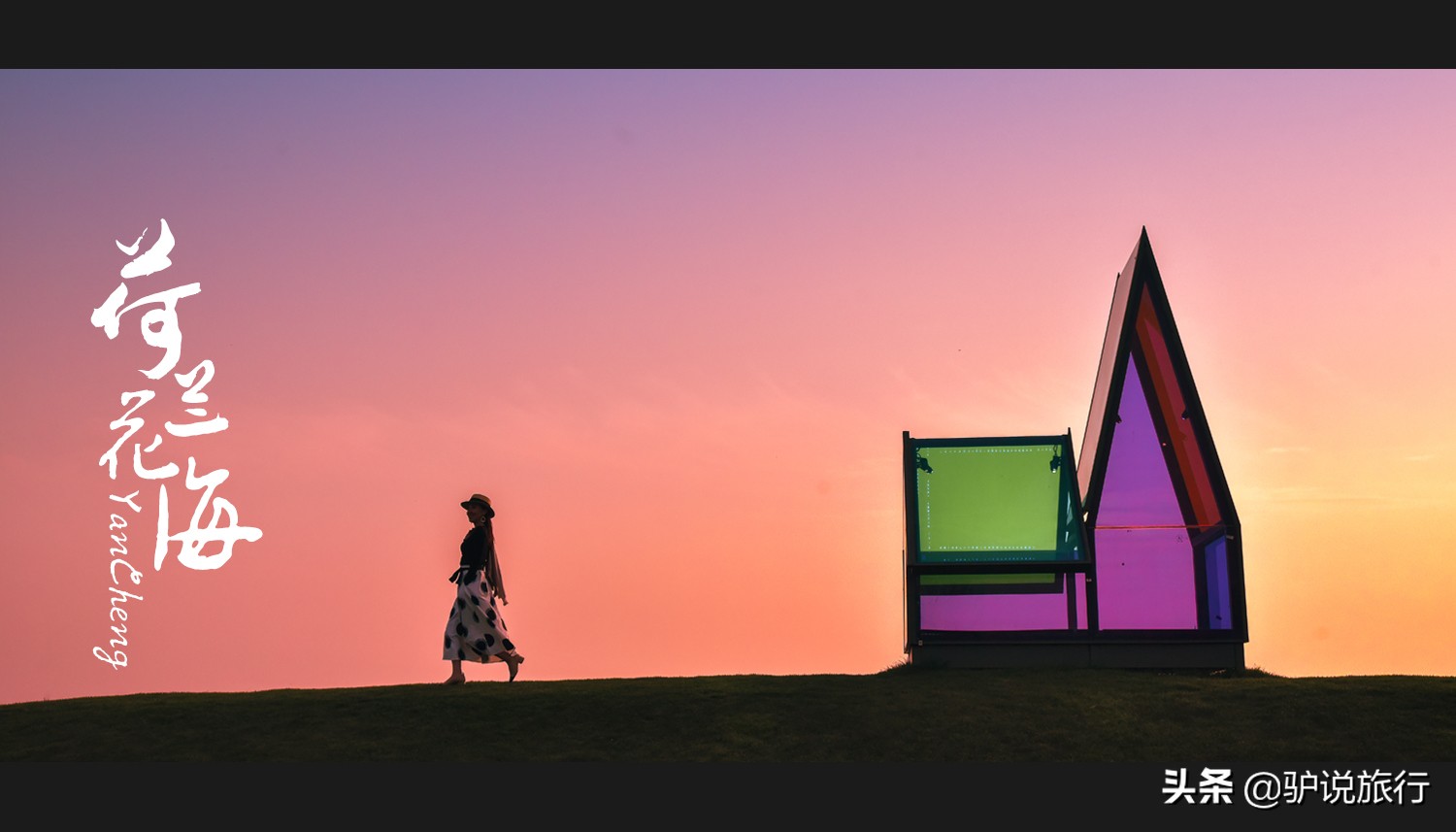 郁金香中国,中国郁金香第一花海