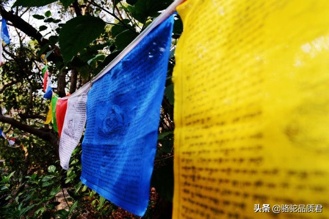 厦门海边之旅,厦门小众旅游体验