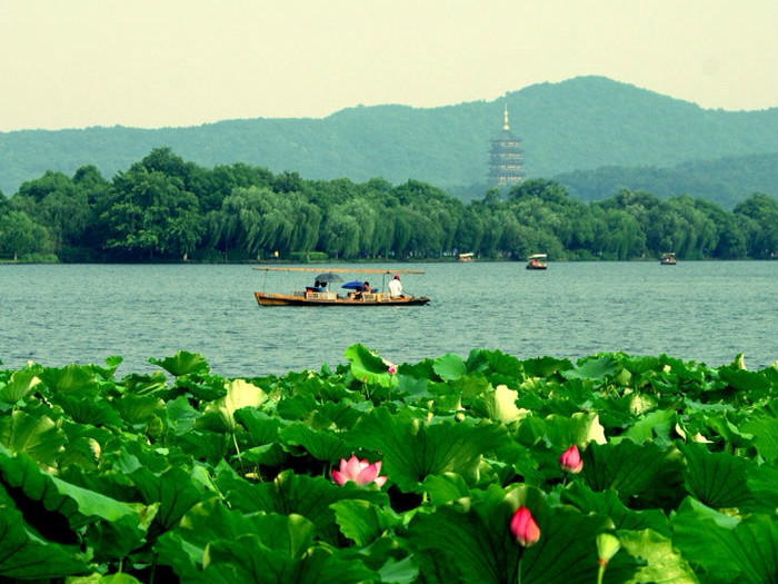 二十四节气处暑书签,处暑二十四节气诗歌