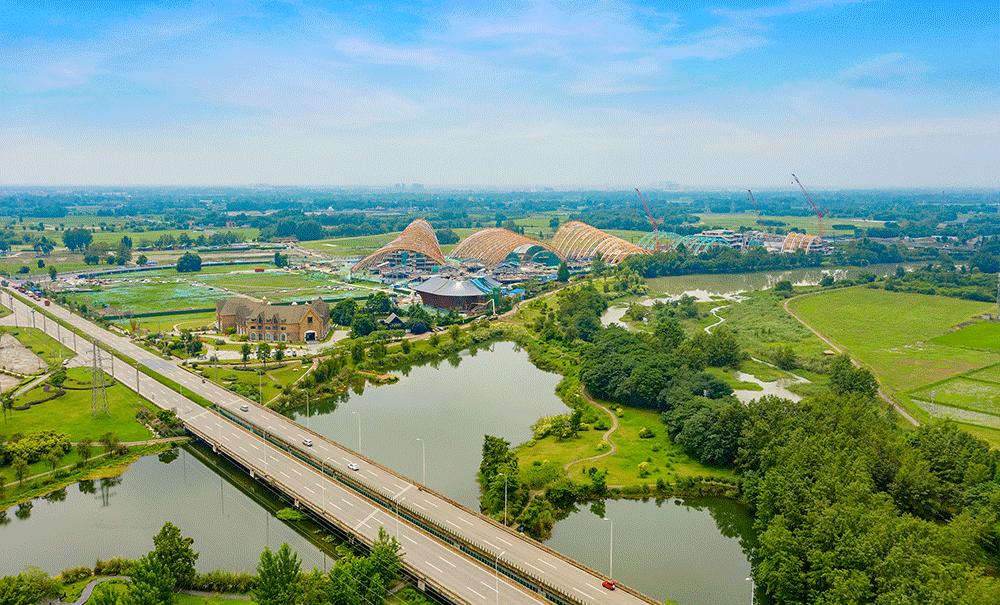 甜玉米新货上市,超级甜糯玉米新品种