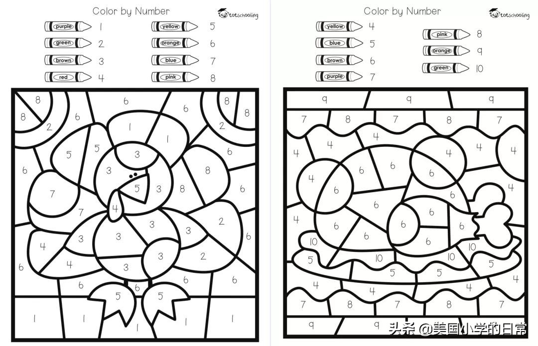 一个南瓜引发的学习激情，为何让美国孩子如此着迷？