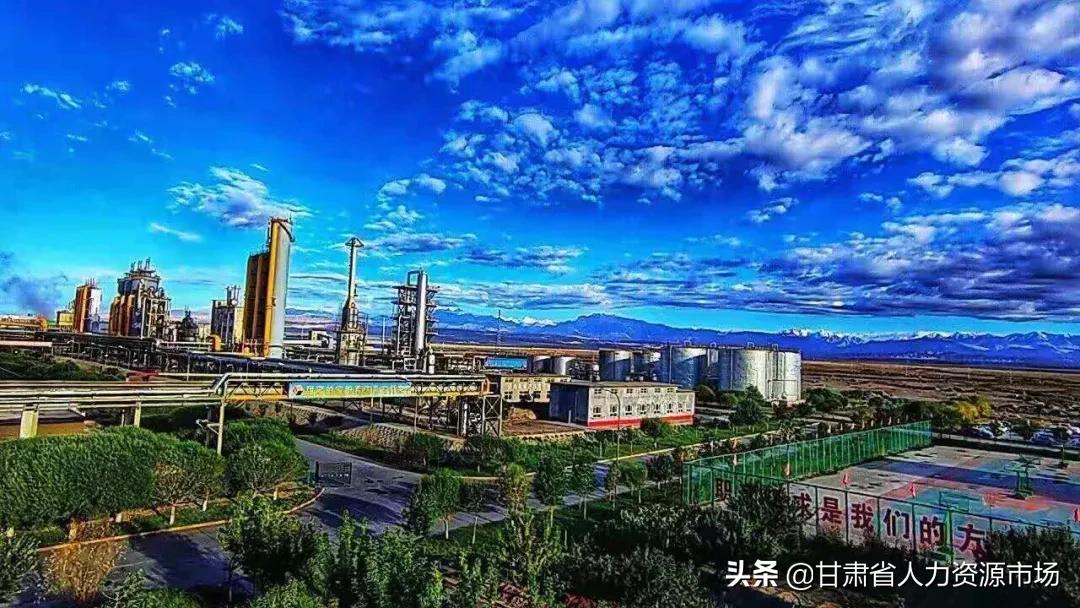 金晖兆丰焦化有限公司招聘,新疆金晖兆丰焦化有限公司海拔