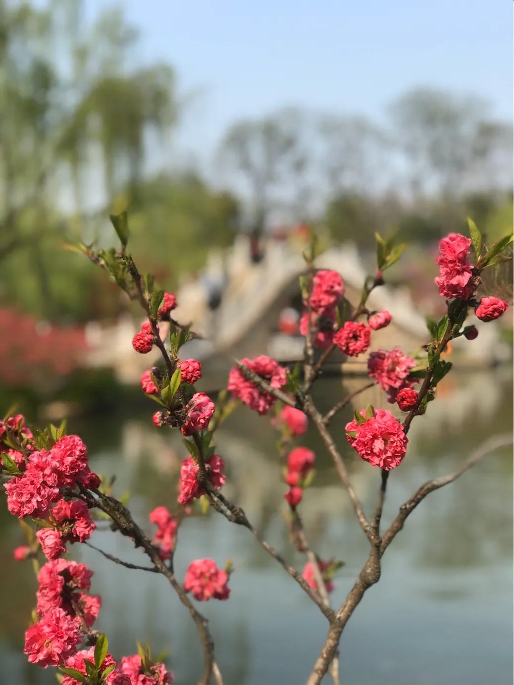 扬州第一站是瘦西湖吗,扬州古运河第一馆