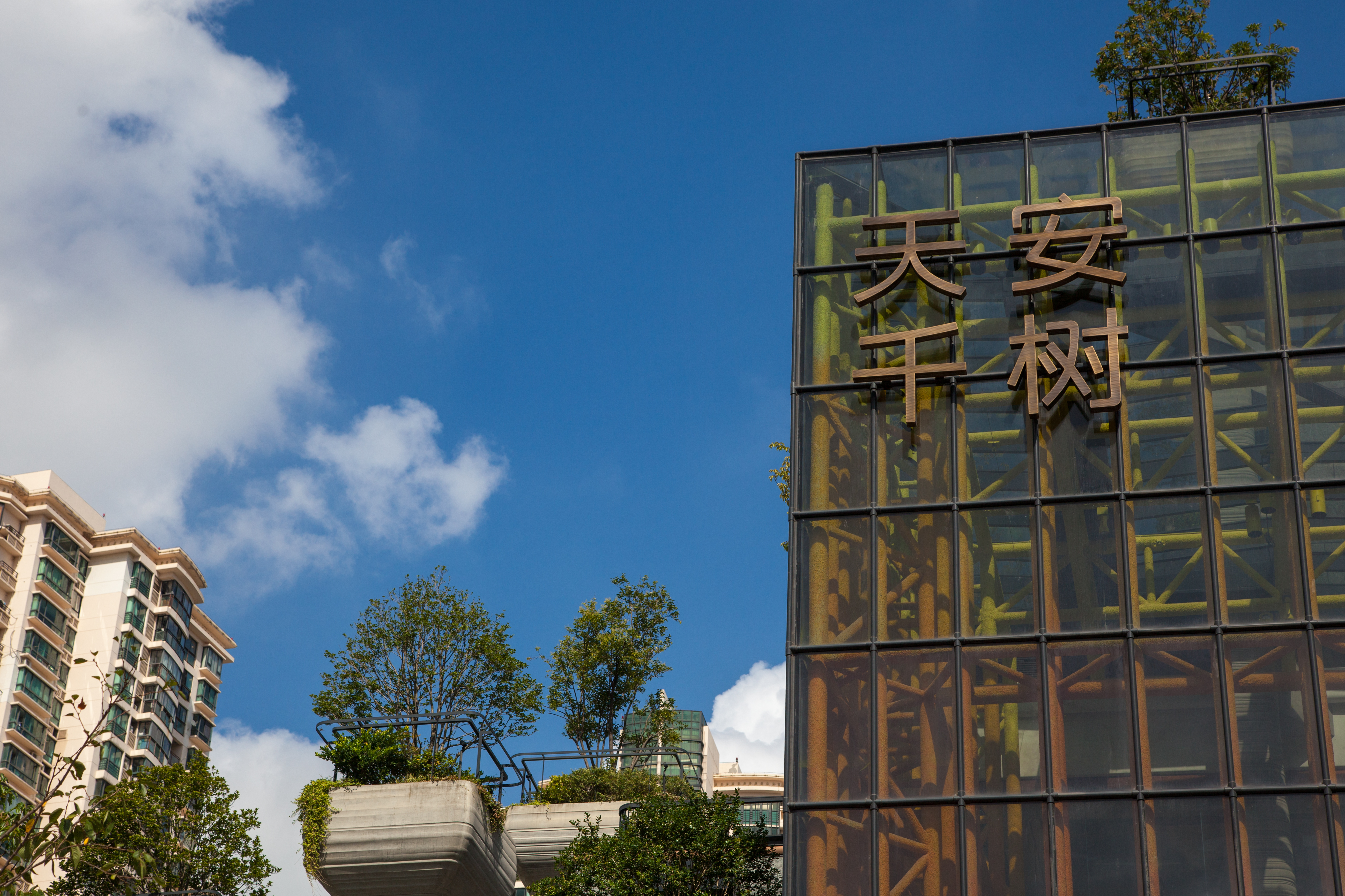 上海网红建筑天安千树,天安千树网红地址