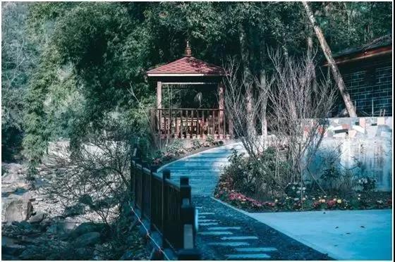 成都民宿推荐青城山,青城山花娟树屋民宿