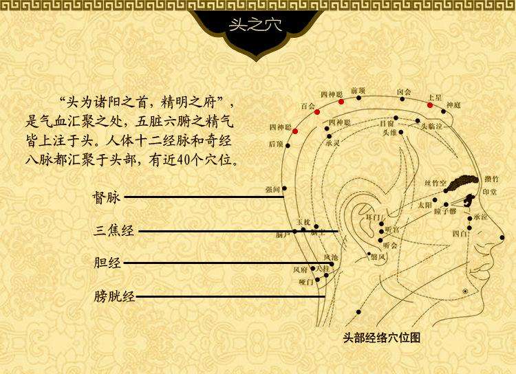 长白头发和掉头发需要按哪个穴位,头发稀少按哪个穴位能生发