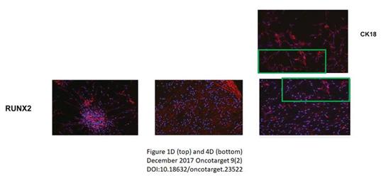 徐州sci论文投稿,徐州医科大学论文