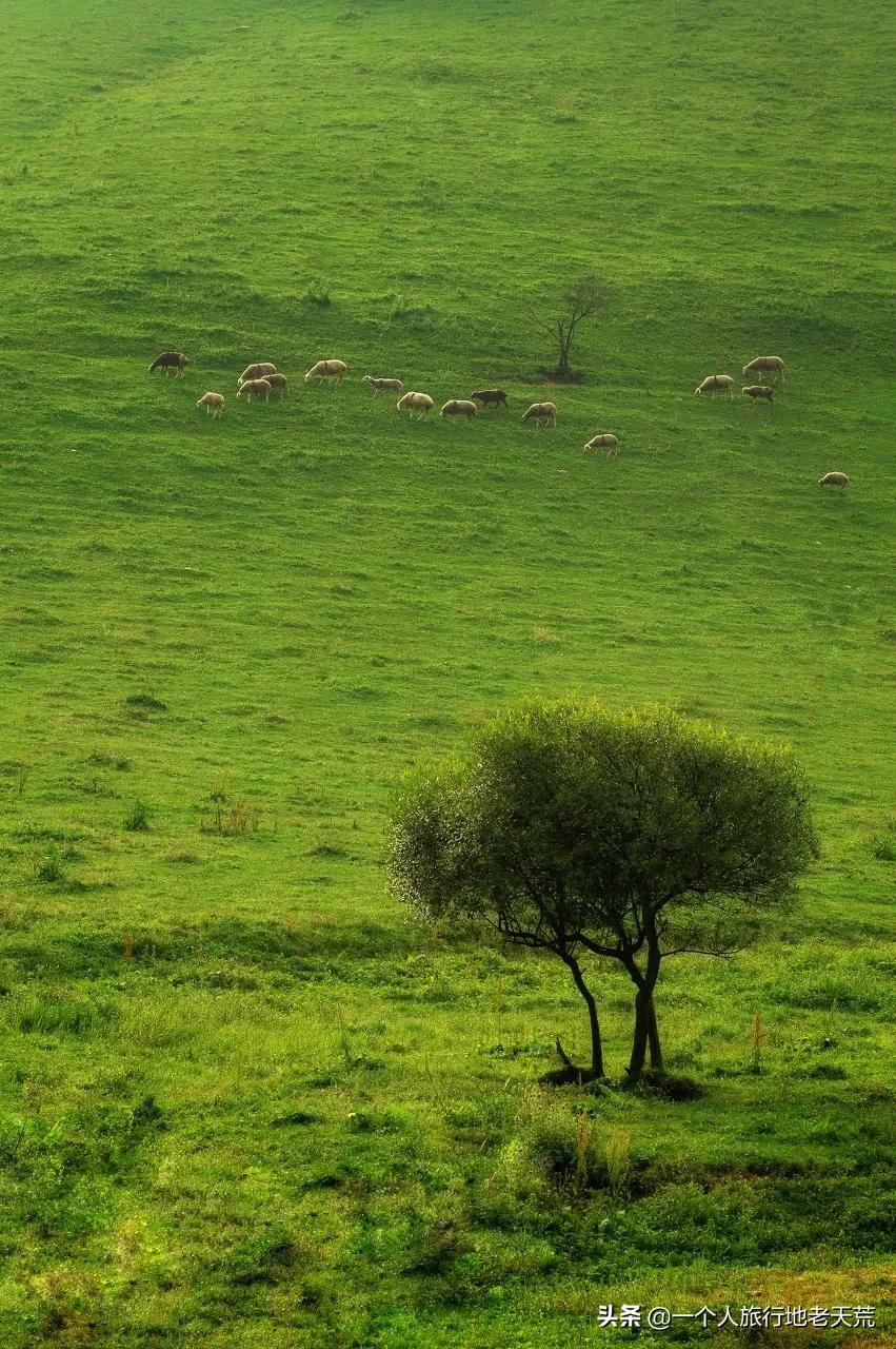 这座低调的宝藏老城被西安光芒掩盖，却是中国最具性价比的旅行地