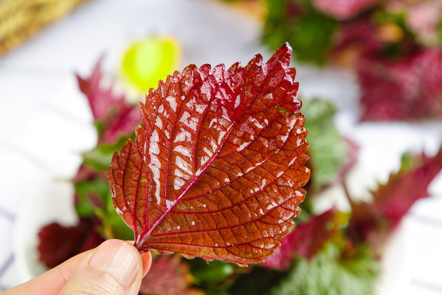 12种止咳糖浆的区别全整理,右美沙芬止咳糖浆的功效与作用