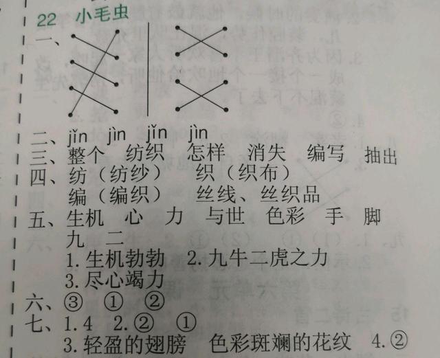 小毛虫的课文二年级下册全部讲解,二年级下册语文小毛虫朗读视频