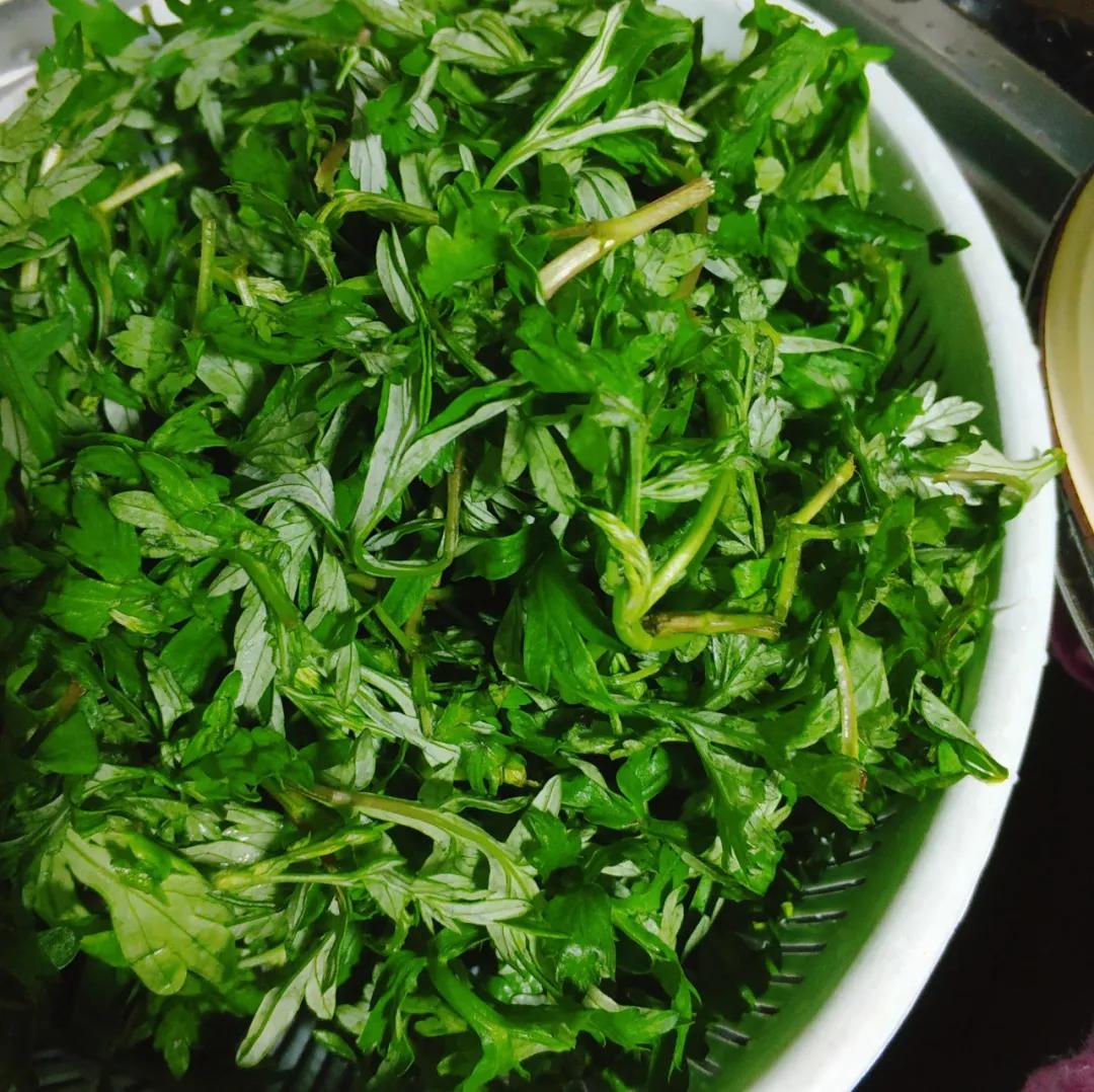 卖爆了的网红青团，到底好吃吗！？