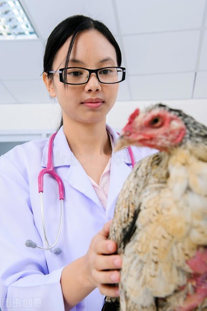 为什么不建议年轻人学兽医,兽医是不是不愁工作