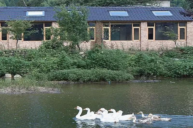 西安高新乡村振兴项目一览表,中国100个乡村振兴样板村