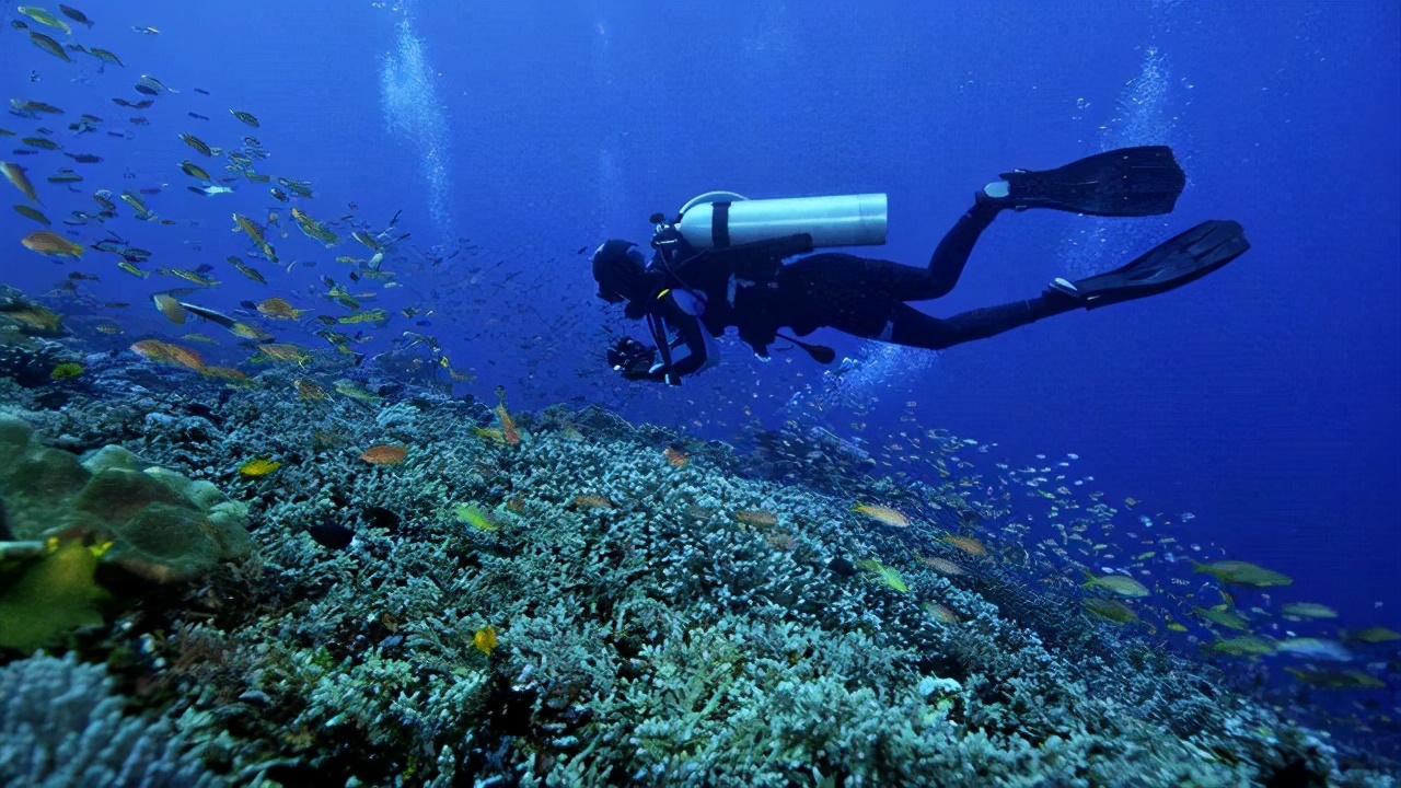 在三亚度假的日常生活,三亚度假旅游感受