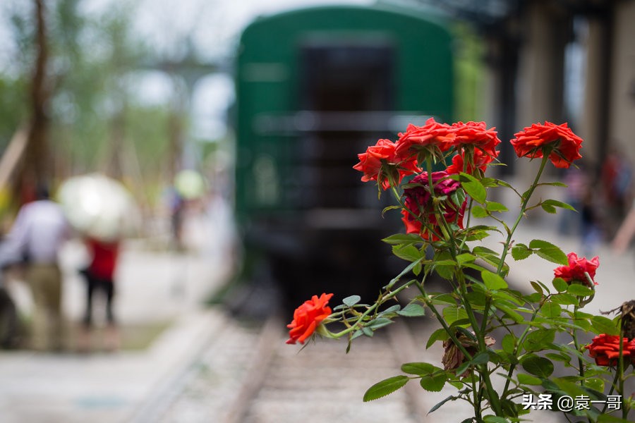 散文生命的列车,散文生命的列车女生版
