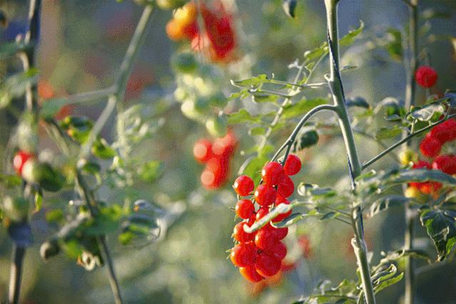 贝迪温泉团购门票,重庆贝迪温泉门票价格