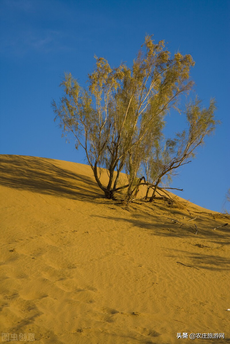 新疆旅游攻略必玩的景点阿克苏,离阿克苏近的疆内旅游景点