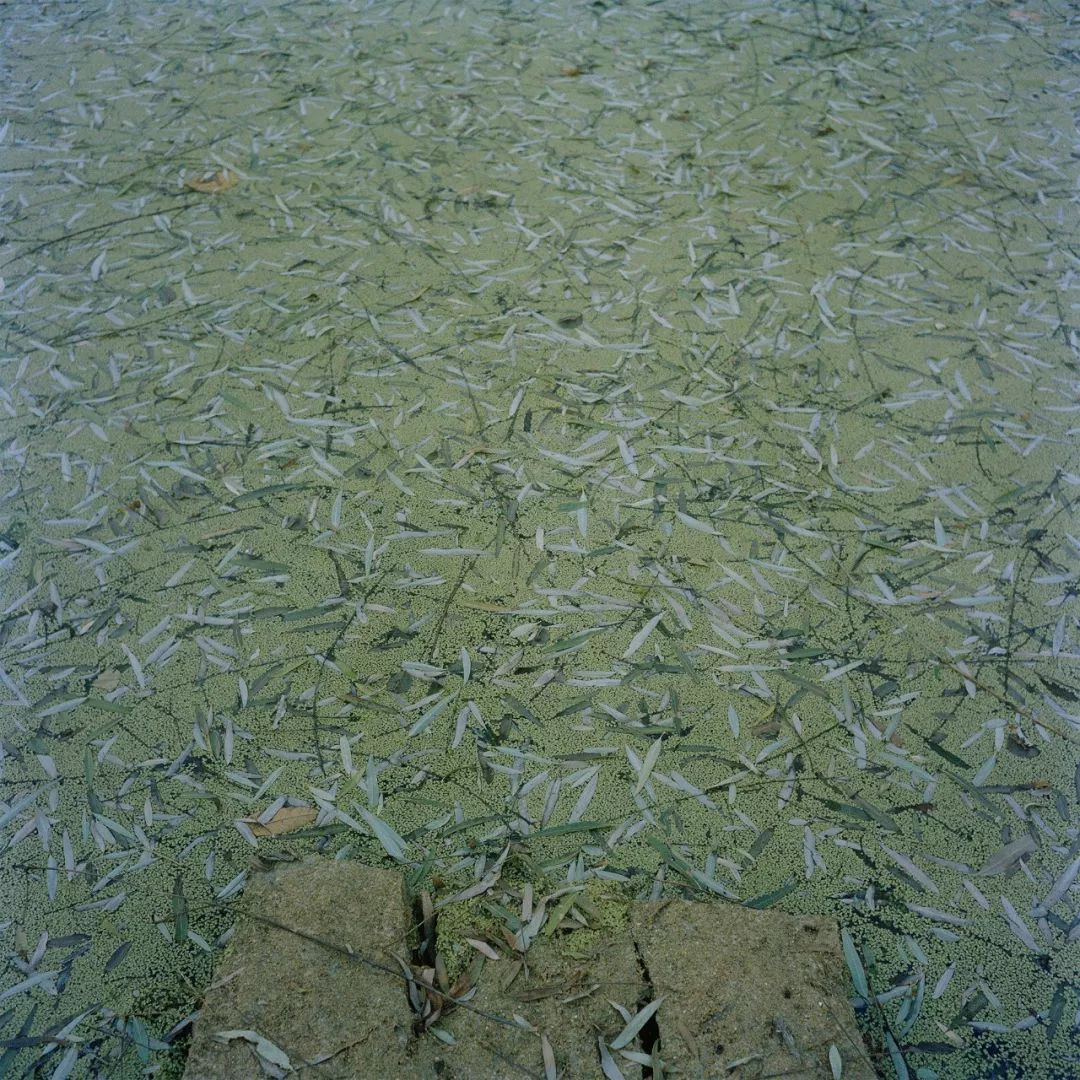 中国荒村纪录第一,中国的荒村记录