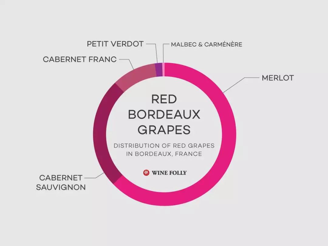 【佰酿学堂】你心目中的梅洛葡萄（Merlot）是怎样的？