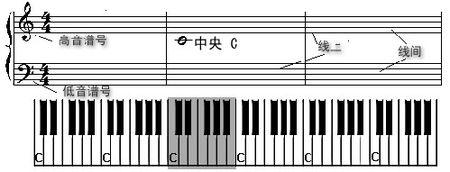 怎样学习电子琴初学者入门,学习电子琴入门零基础教学
