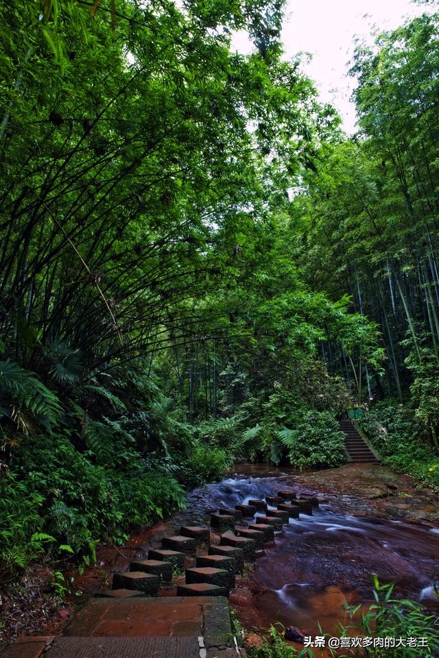 蜀南竹海江安,宜宾市到蜀南竹海距离
