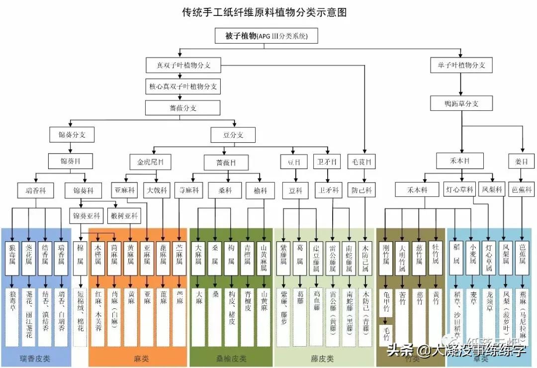 初学书法用什么纸练字,练书法需要几种毛笔
