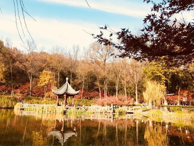 南京秋天旅行攻略,来南京体验秋天浪漫