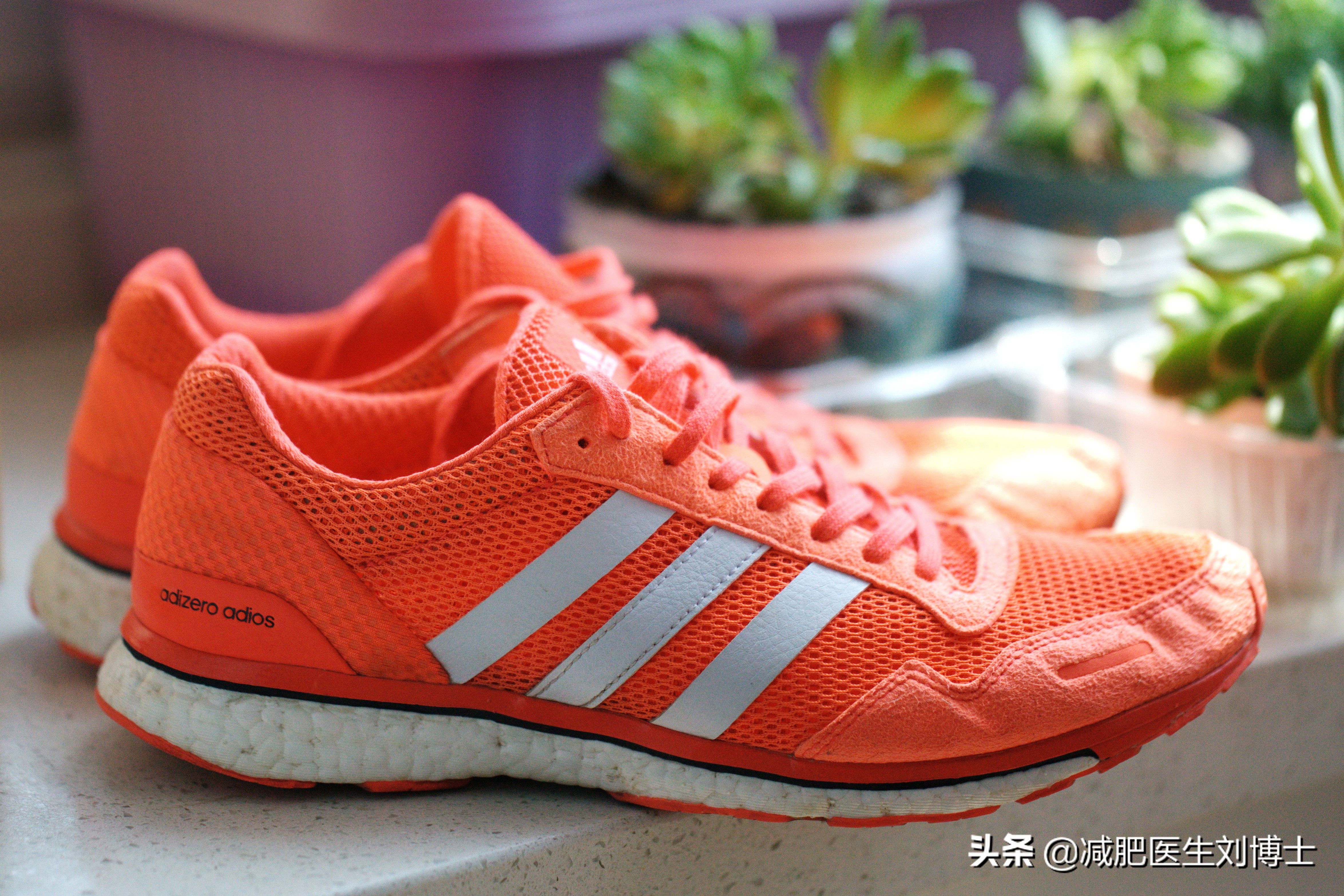 比较推荐的几双入门级跑鞋,公认脚感最好的10双跑鞋