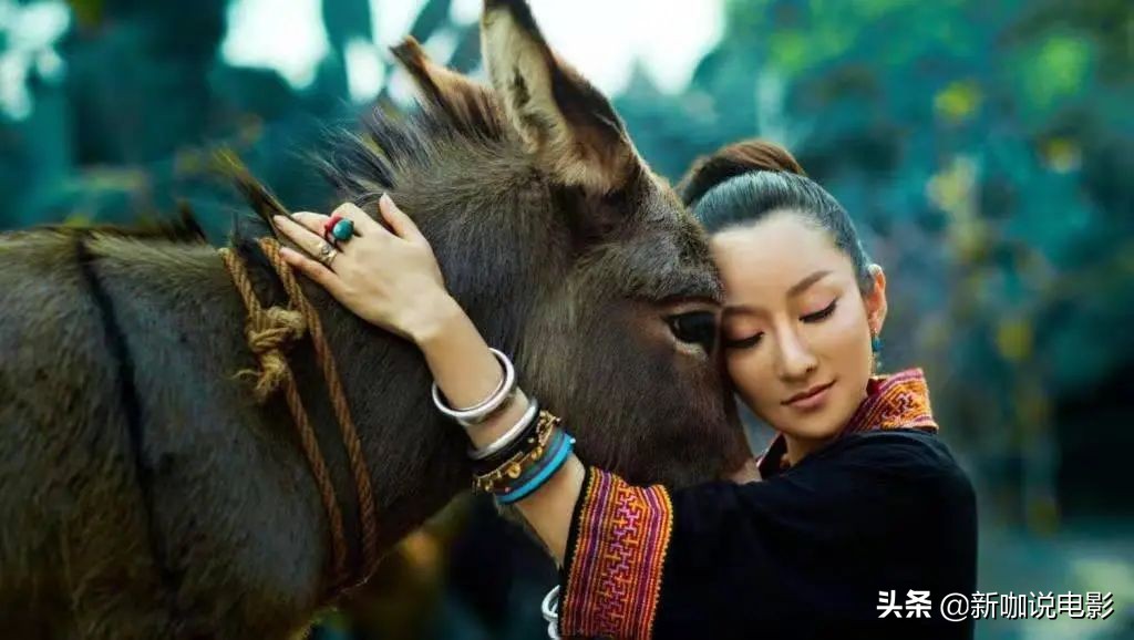 被金星揭老底的萨顶顶,金星怼萨顶顶