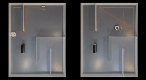 养猫必备的清洁猫毛工具,清洗猫毛的正确方法