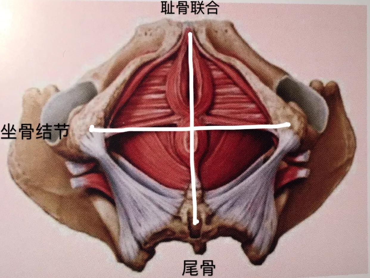 产后子宫下垂、漏尿,便秘,医生都没啥好办法,这2招却很管用