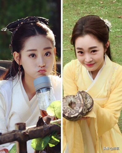 撞脸宋轶抖音,撞脸宋轶的人