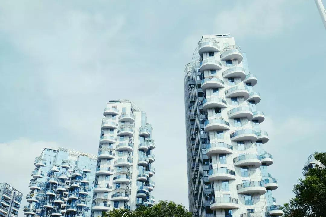 深圳湾公园这里有什么好吃的,深圳湾在哪里