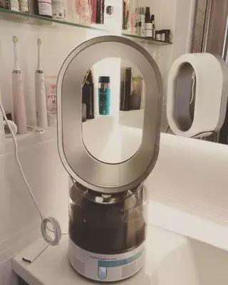 行走的蒲公英猫咪照片,行走的蒲公英猫品种